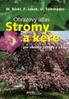 Stromy a keře pro okrasné zahrady a parky