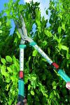 Nůžky na živé ploty Gardena (MOUNTFIELD)